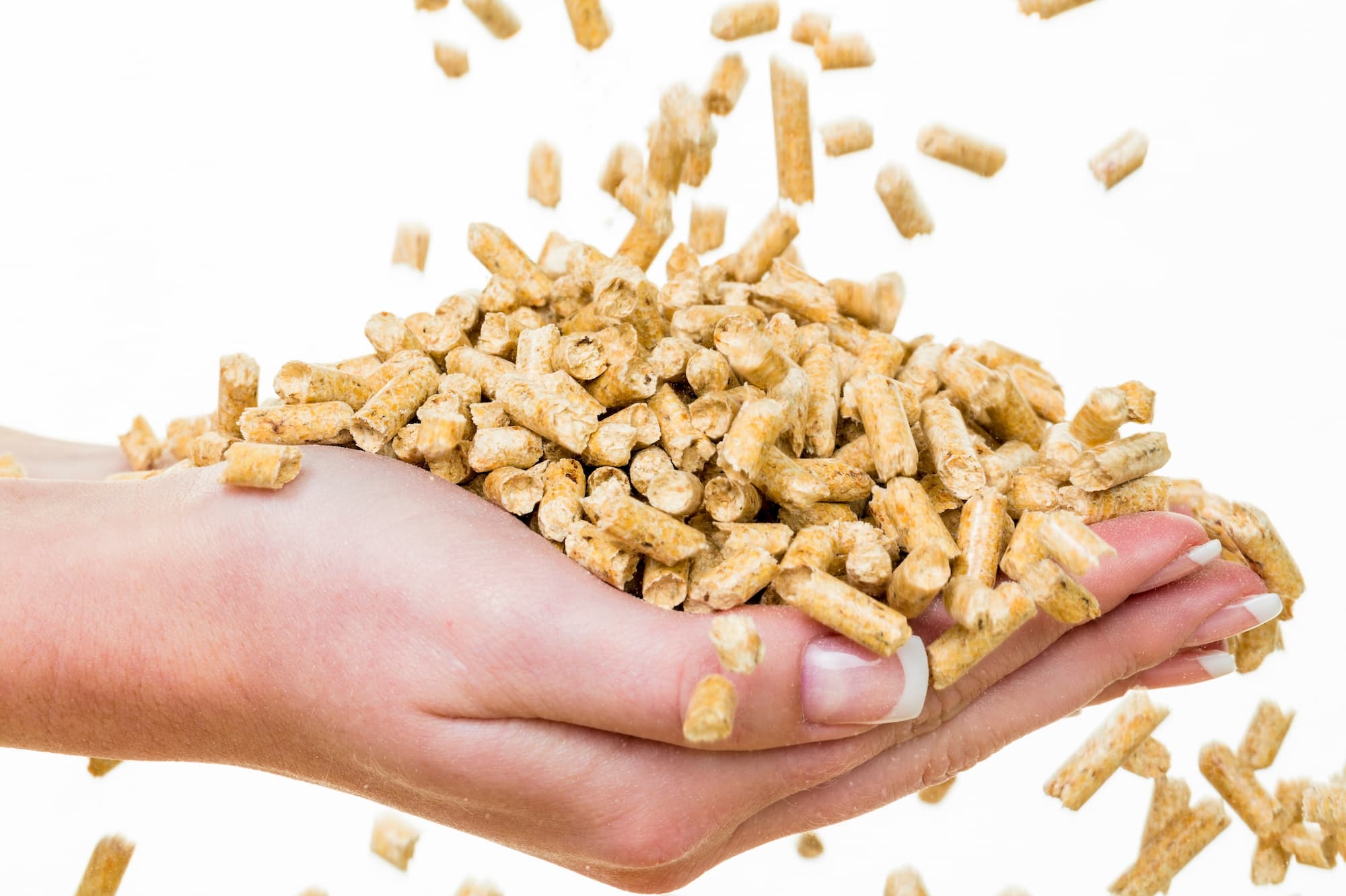 Comment fonctionne une chaudi&egrave;re &agrave; granul&eacute;s ? Molsheim