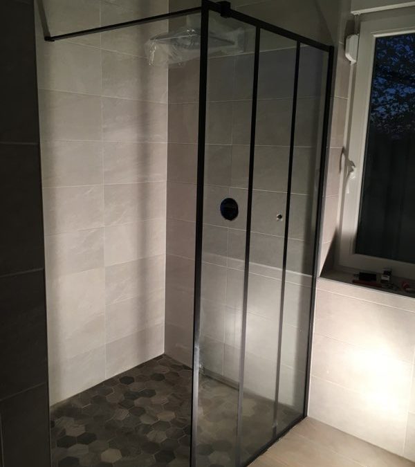 Sanitaire Sarrebourg 7